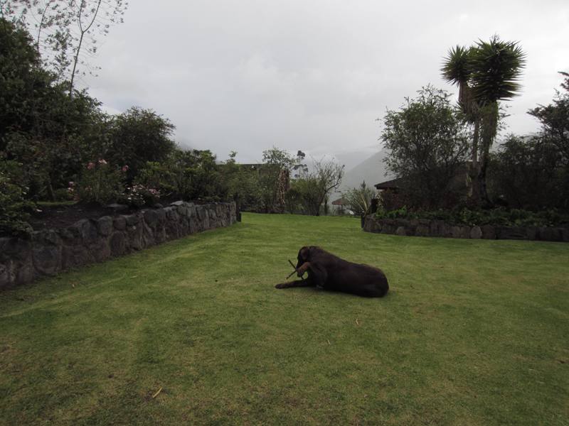 Hacienda Manteles, Patate, Ecuador