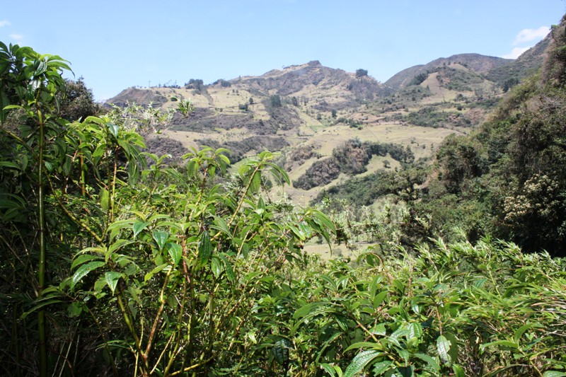 Girón Mountains, Ecuador