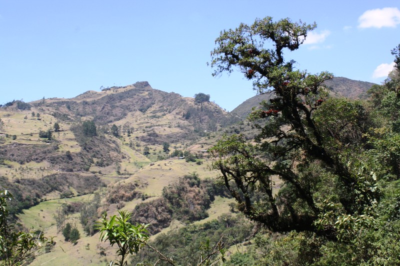Girón Mountains, Ecuador