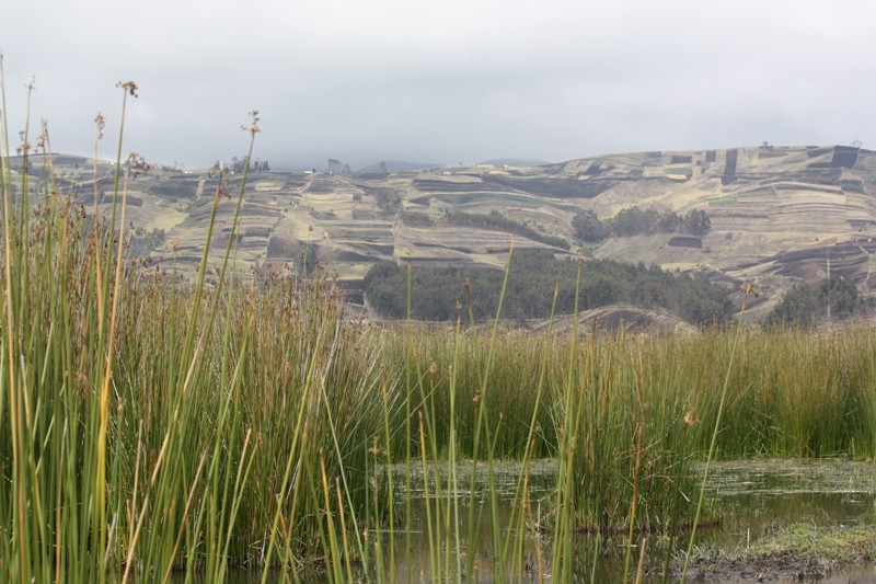 Laguna de Colta, Ecuador