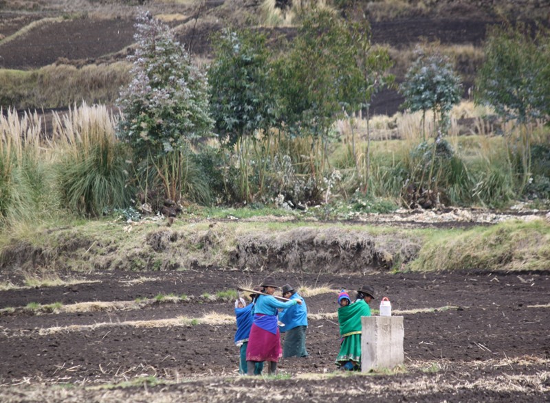 Laguna de Colta, Ecuador