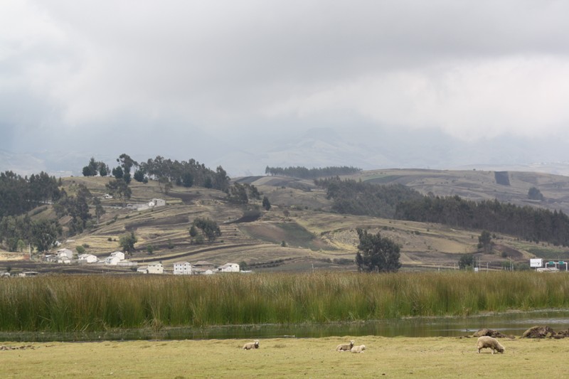 Laguna de Colta, Ecuador