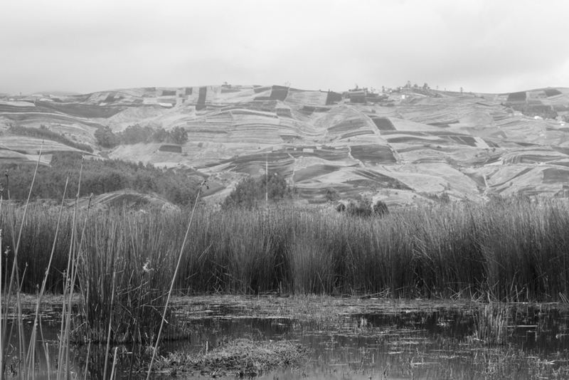 Laguna de Colta, Ecuador