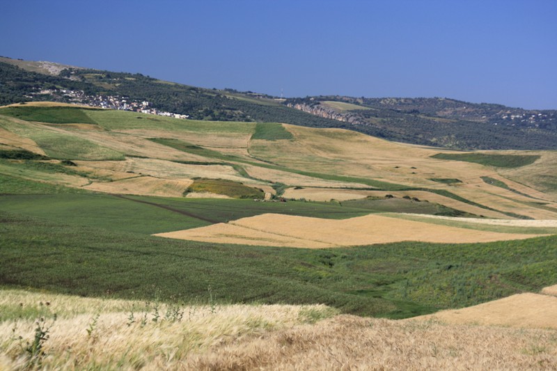 The Rif, North Morocco