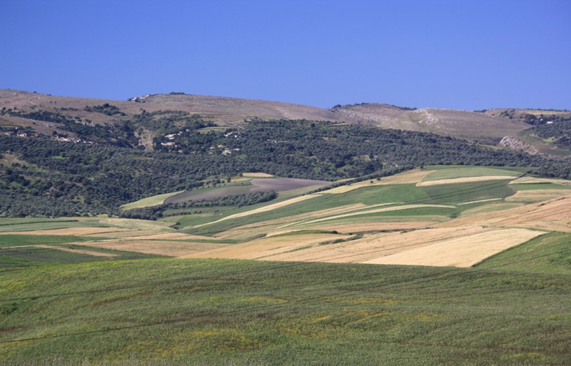 The Rif, North Morocco