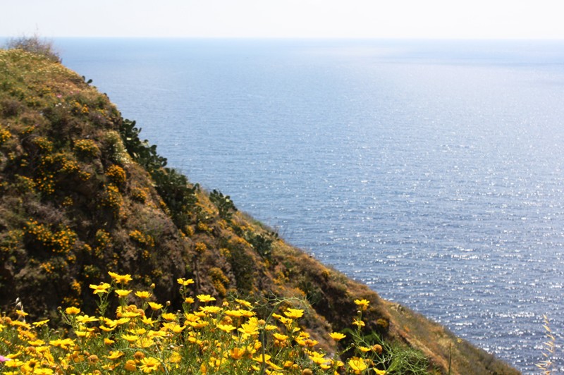 Mediterranean Coast, North Morocco