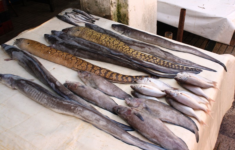 Market, Essaouira, Morocco