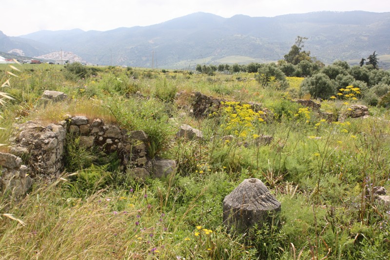 Volubilis, Morocco