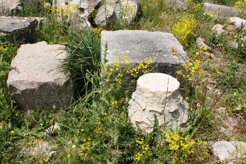 Volubilis, Morocco