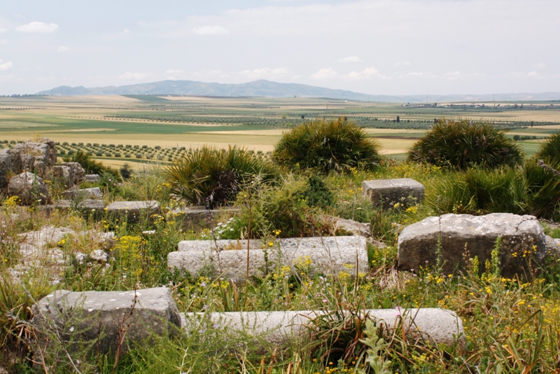 Volubilis, Morocco