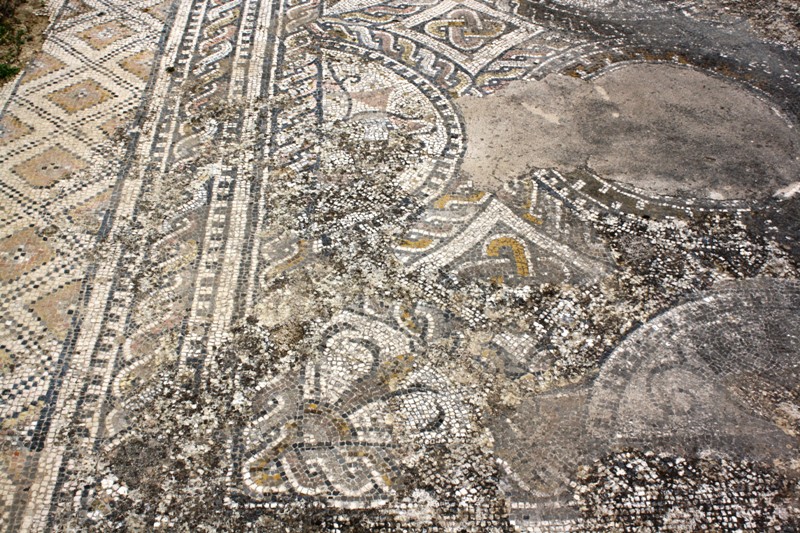 Mosaic, Volubilis, Morocco