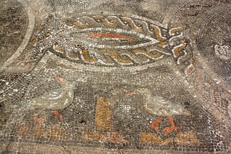 Mosaic, Volubilis, Morocco