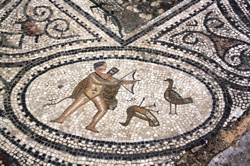 Mosaic, Volubilis, Morocco