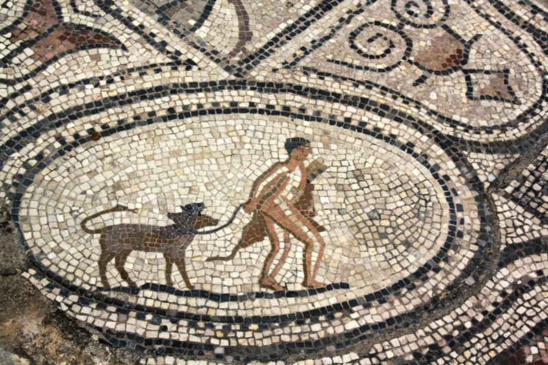 Mosaic, Volubilis, Morocco