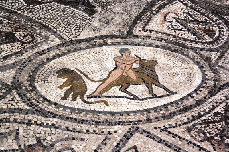 Mosaic, Volubilis, Morocco