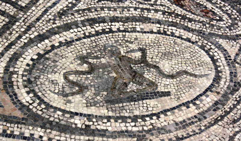 Mosaic, Volubilis, Morocco