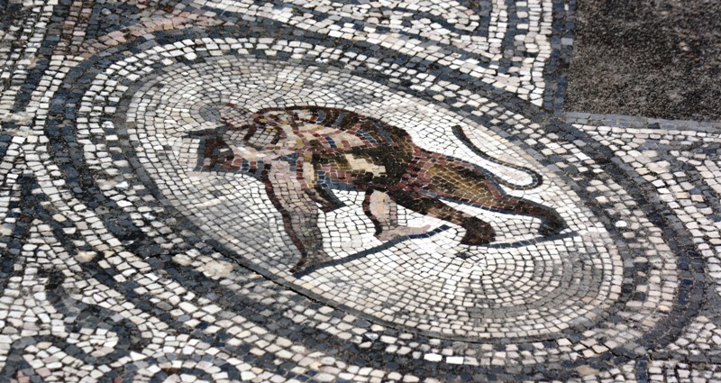 Mosaic, Volubilis, Morocco