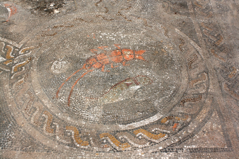 Mosaic, Volubilis, Morocco