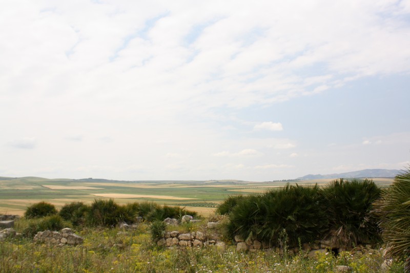 Volubilis, Morocco