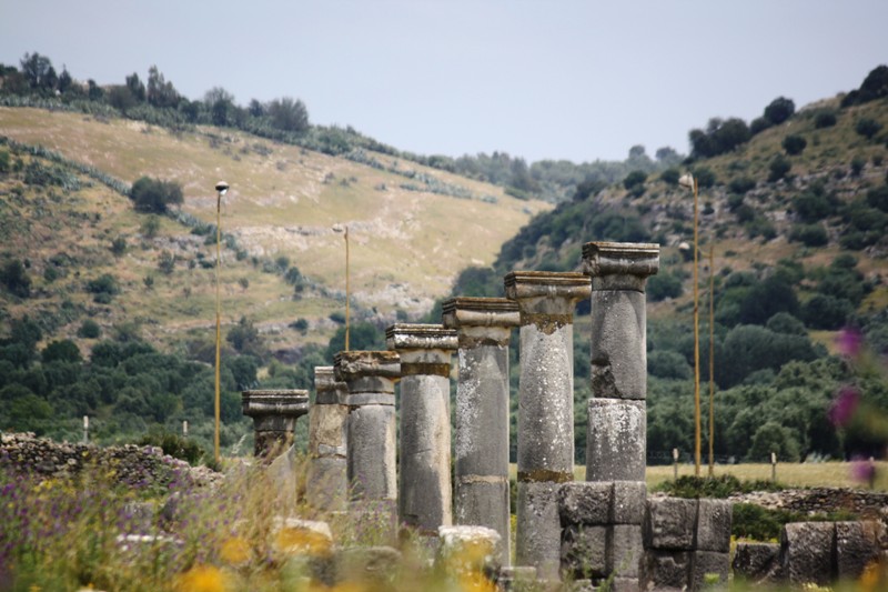 Volubilis, Morocco