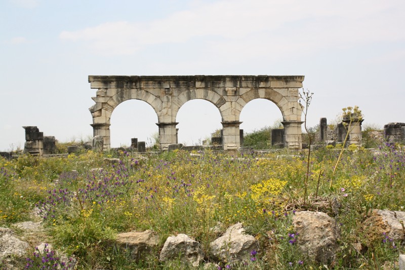 Volubilis, Morocco