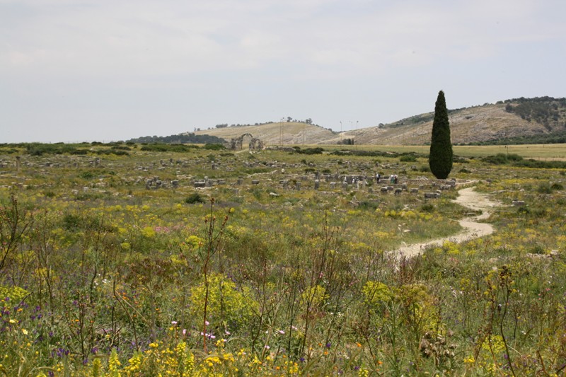 Volubilis, Morocco