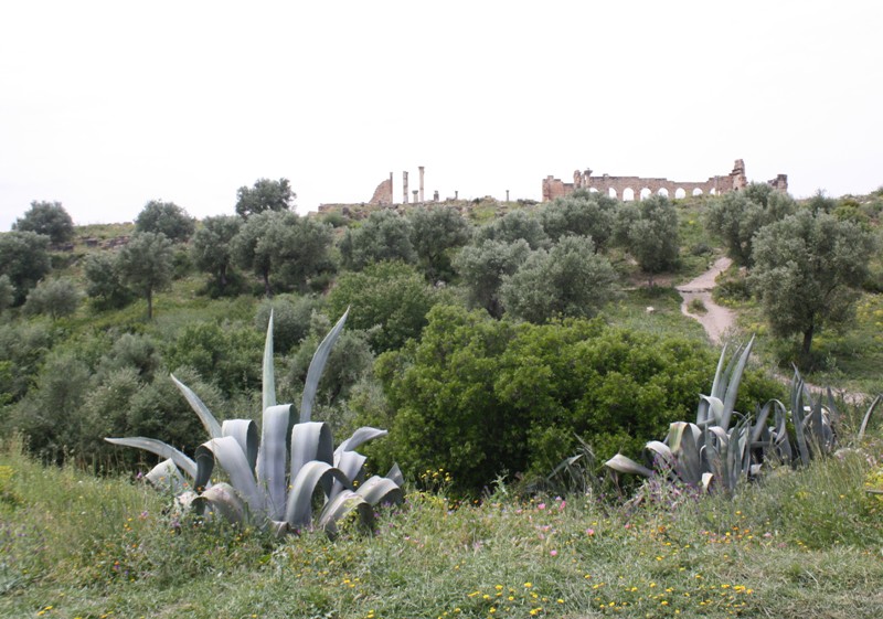 Volubilis, Morocco