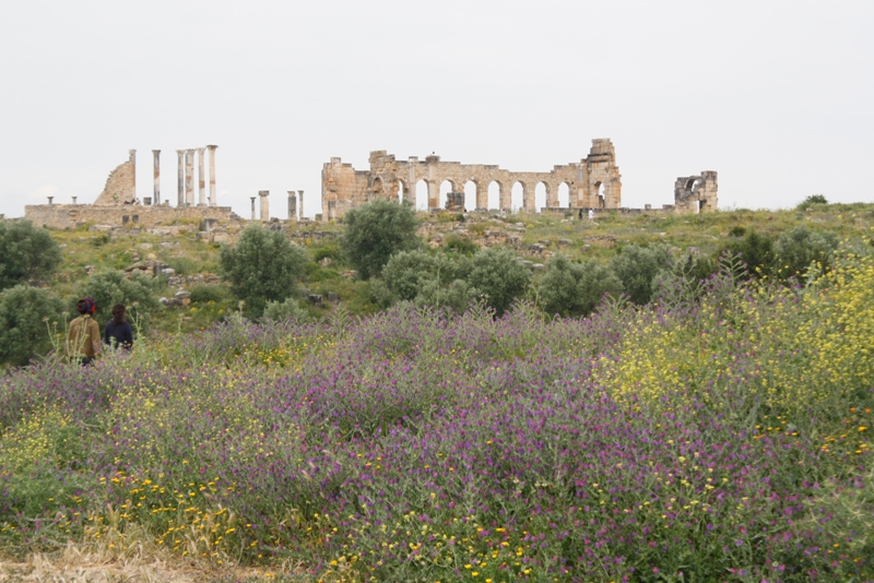 Volubilis, Morocco