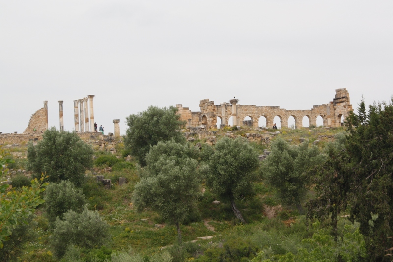 Volubilis, Morocco