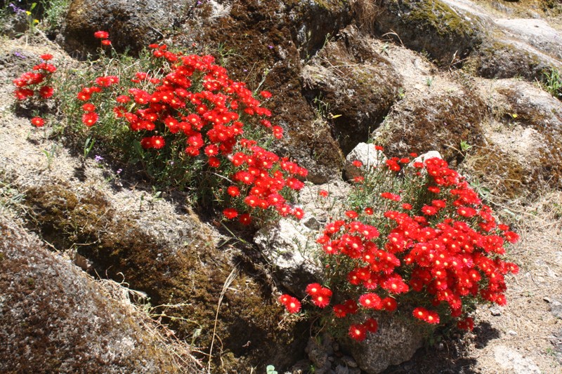 Monsanto, Portugal