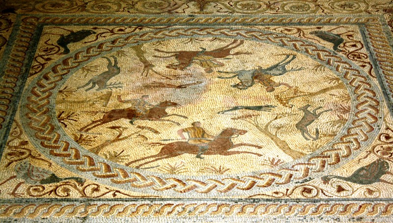 Roman mosaics, Coimbra, Portugal 