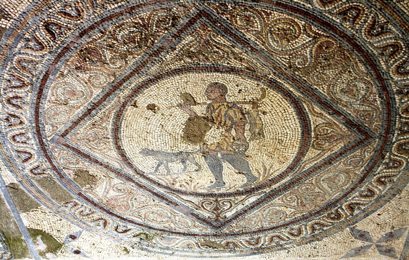 Roman mosaics, Coimbra, Portugal 