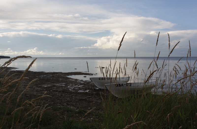  Sääritsa,  Lake Peipsi,  Estonia