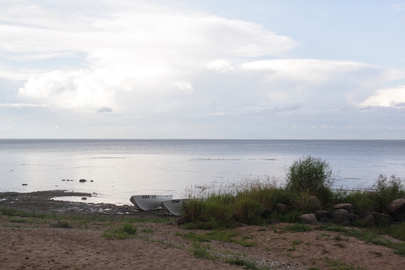  Sääritsa,  Lake Peipsi,  Estonia