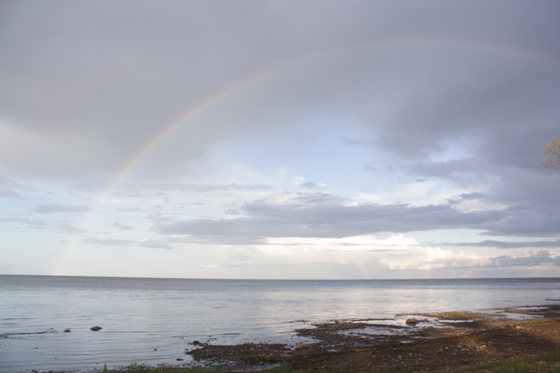  Sääritsa,  Lake Peipsi,  Estonia