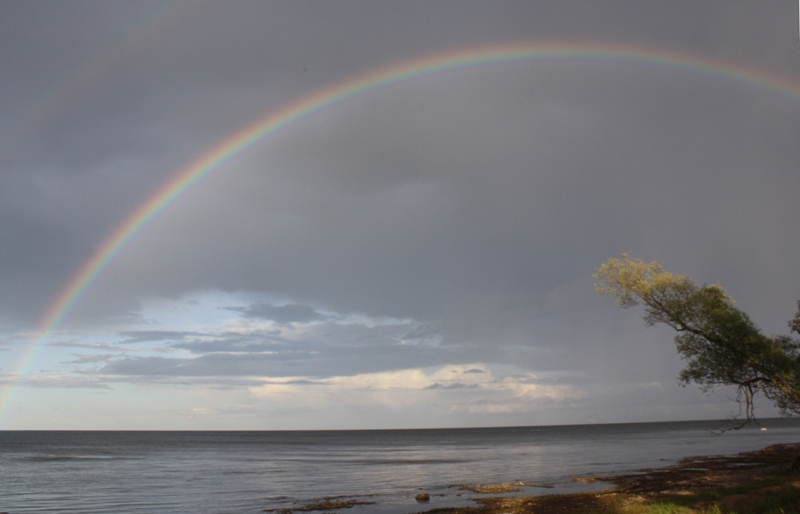  Sääritsa  Lake Peipsi  Estonia