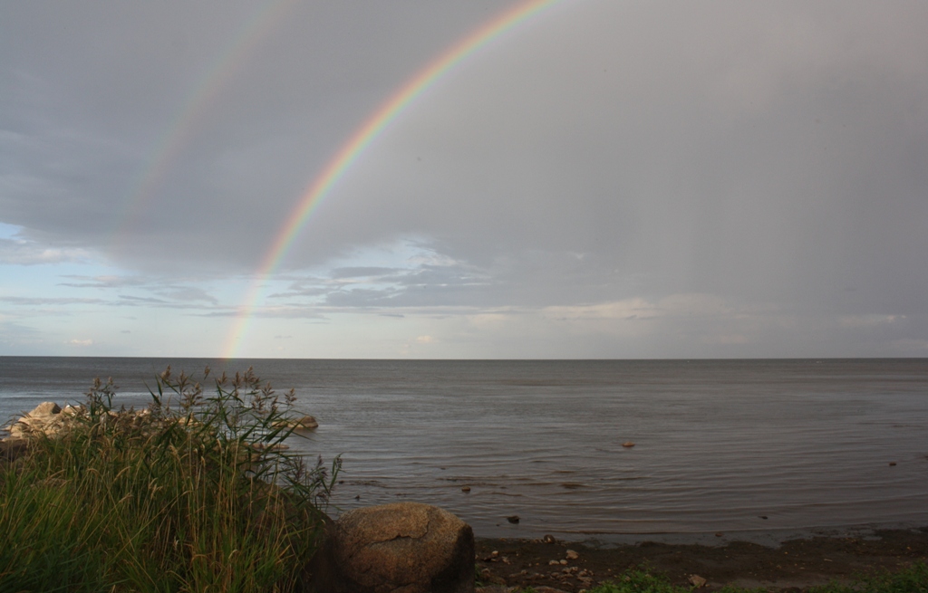  Sääritsa  Lake Peipsi  Estonia