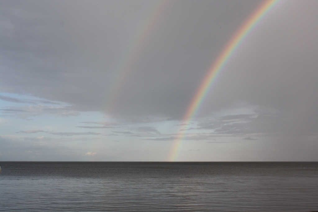  Sääritsa  Lake Peipsi  Estonia