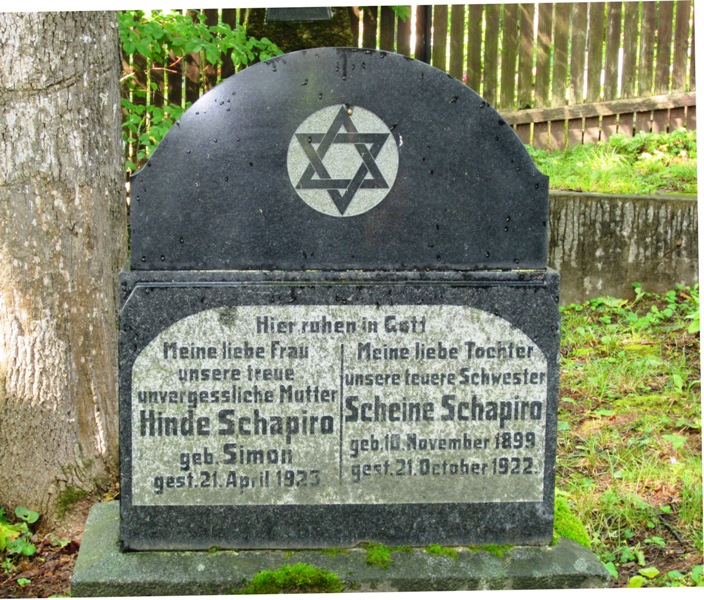 Jewish Cemetery, Roosi Street, Tartu, Estonia