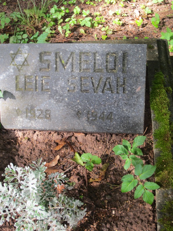 Jewish Cemetery, Roosi Street, Tartu, Estonia