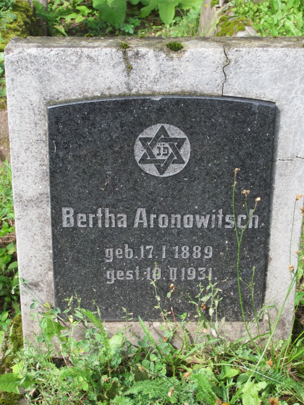 Jewish Cemetery, Roosi Street, Tartu, Estonia