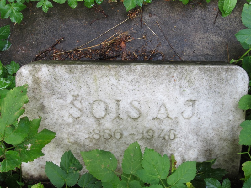 Jewish Cemetery, Roosi Street, Tartu, Estonia