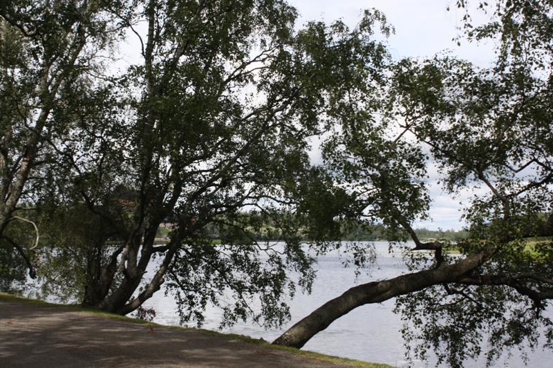 Lake Vanajavesi, Hämeenlinna, Finland