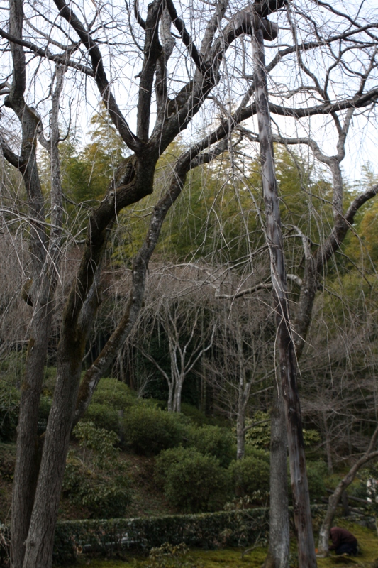 Arashiyama, Kyoto, Japan