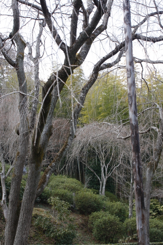 Arashiyama, Kyoto, Japan