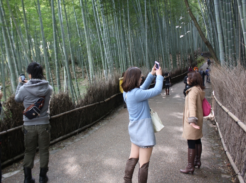 Bamboo Grove, Arashiyama, Japan