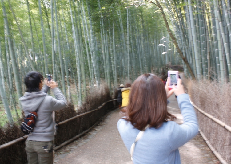 Bamboo Grove, Arashiyama, Japan