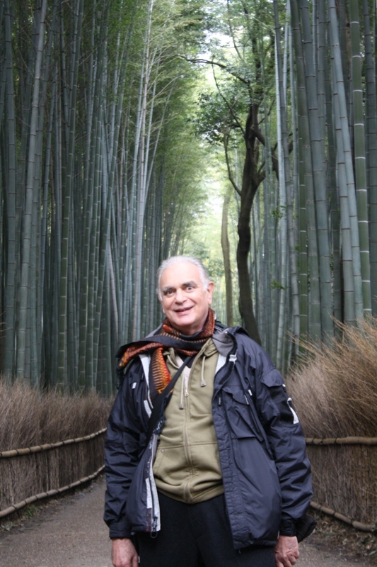 Bamboo Grove, Arashiyama, Kyoto, Japan 