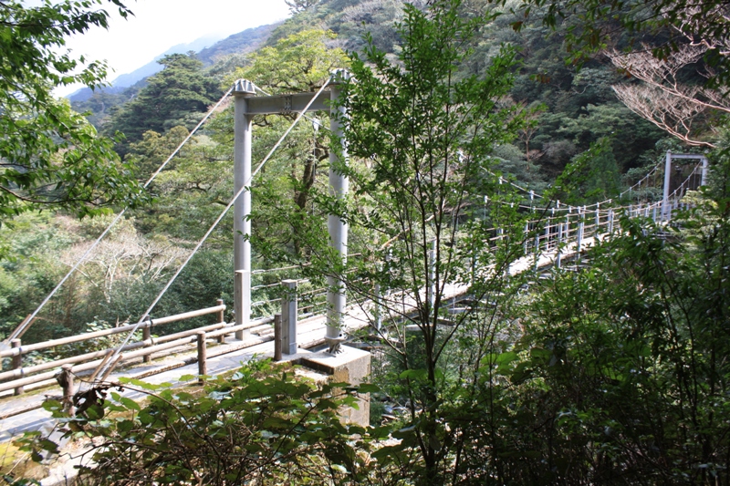 Yakushima National Park, 屋久島 Japan, Osumi Islands,大隅諸島