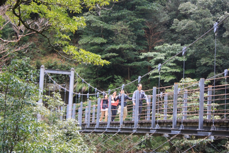 Yakushima National Park, 屋久島 Japan, Osumi Islands,大隅諸島